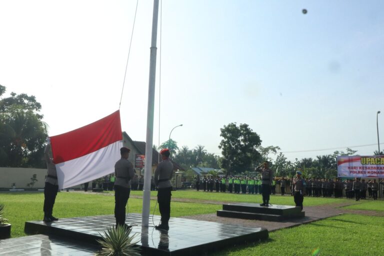 img-20260218-wa00224772090817895302981