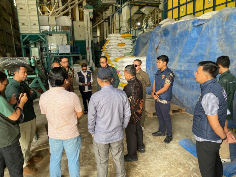 img-20260227-wa00313089284144674308213