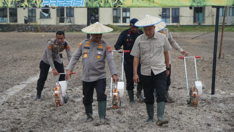 img-20260307-wa00204083683301907538987