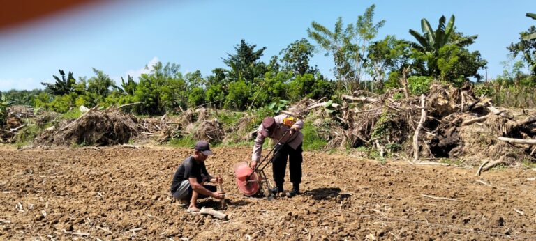 img-20260410-wa00523733219996075476361